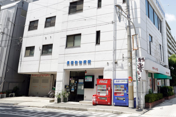 医院概要