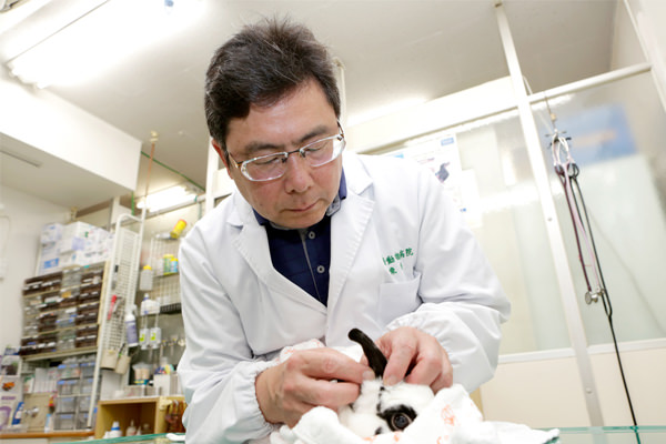 ペットを触った後は、必ず手を洗ってください