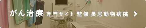 がん治療専門サイト 監修 長居動物病院