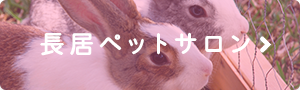 長居ペットサロン