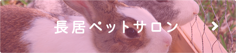 長居ペットサロン