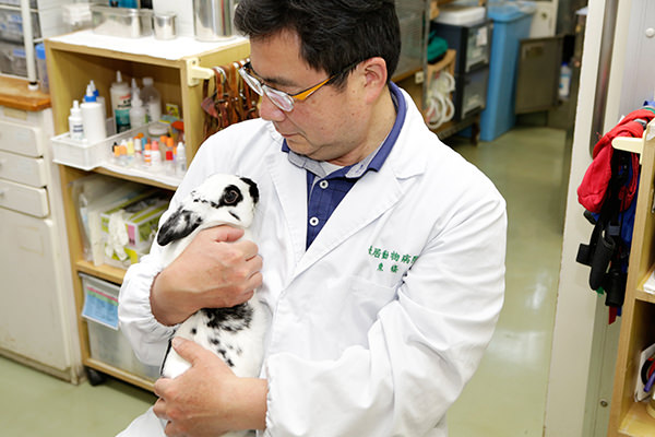 お腹とお尻に手をあてる