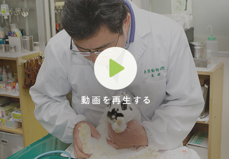 開業30年以上を誇る 経験豊富な動物病院
